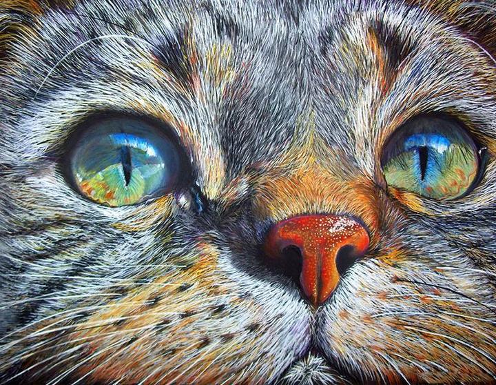 Broderie Diamant Les Yeux Du Chat Diamond Painting France