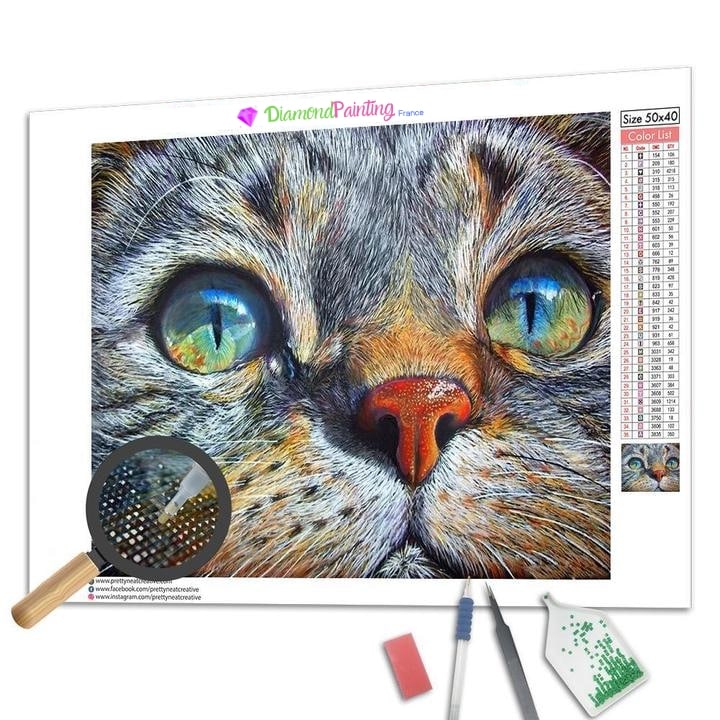 Broderie Diamant Les Yeux Du Chat Diamond Painting France